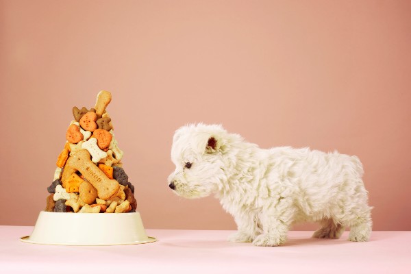 Dog food consumption calculator